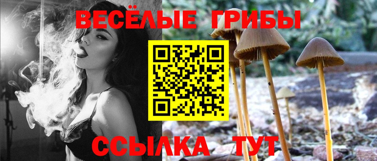 Галлюциногенные грибы прущие грибы  Галлюциногенные грибы Magic Shrooms  Нижневартовск  Вход с VPN 